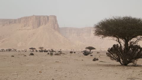 جبال طويق في الصحراء السعودية لقطة بانورامية طبيعية