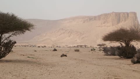 لقطة فيديو طبيعة جبل طويق الصحراوية السعودية