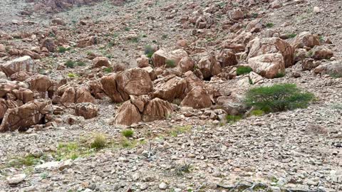 Rocky Mountain Slope in Nizwa Oman Arid Landscape