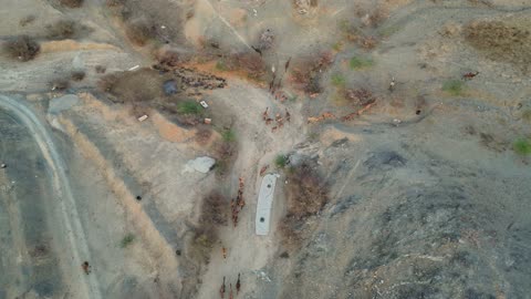 قطيع من الإبل يسير في طريق الشفا بالطائف تصوير جوي
