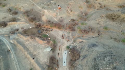 قطيع إبل يسير في طريق الشفا بالطائف لقطة جوية درون