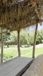 فيديو جلسة تراثية تطل على مزرعة واحة العلا السعودية