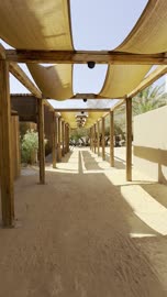 Wooden Canopy Walkway in AlUla Saudi Arabia Footage