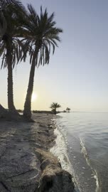 Uqair Beach Sunset in Al Ahsa Saudi Arabia Vertical