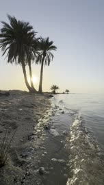 فيديو شاطئ العقير الأحساء وقت الغروب مع أشجار النخيل