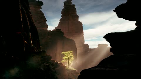 Desert Canyon Tree Sunbeams Cinematic Video
