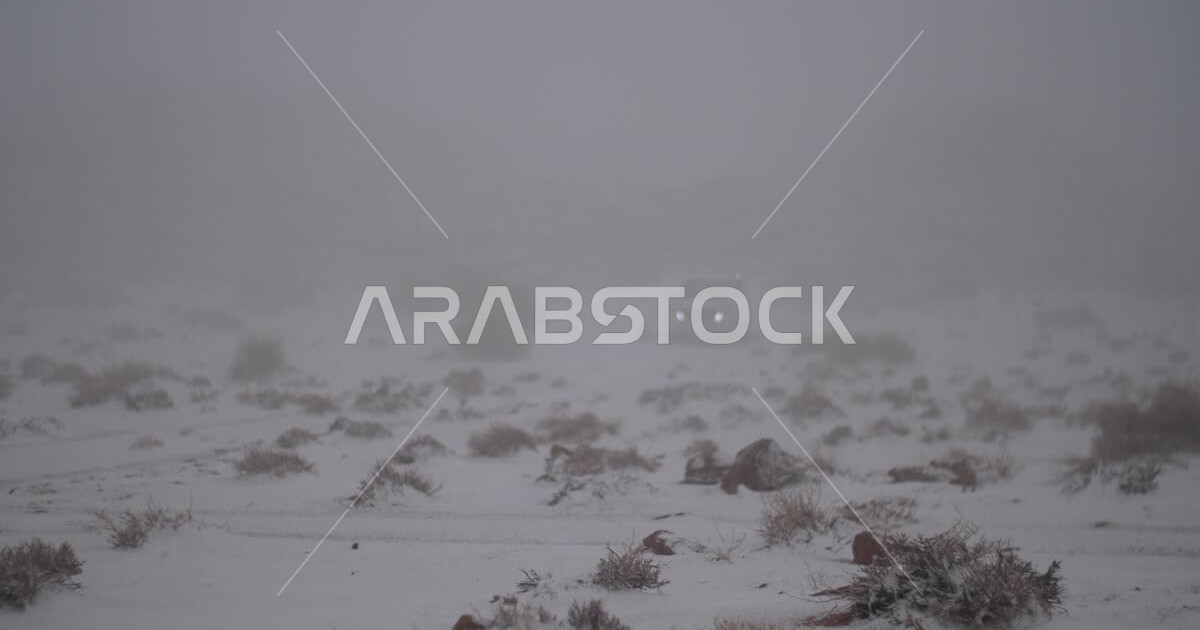 AlDhahr region northwest of Tabuk city, Saudi Arabia, covered with