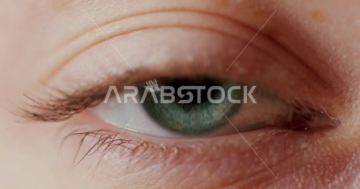 Close-up photography of blinking eye, eyelid, pupil, eyelashes, closing ...