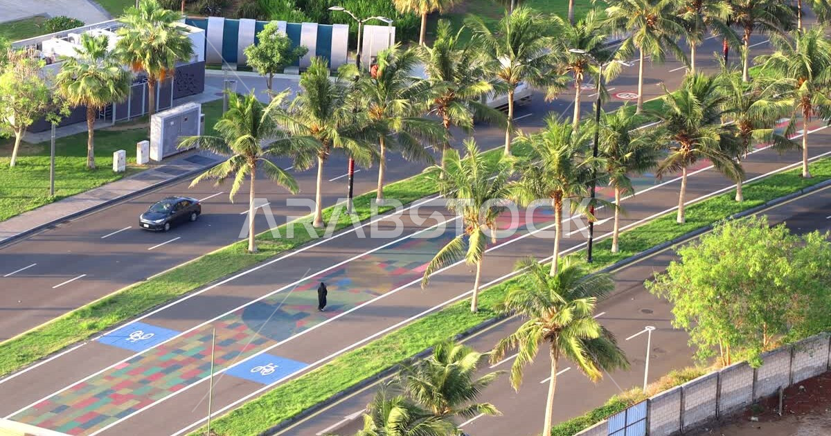 Roshan waterfront in Jeddah, Saudi Arabia, green trees and plants