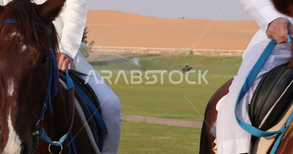 Closeup of two men riding horses, purebred Arabian horses, hobby horse