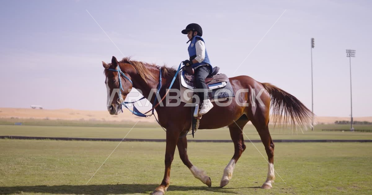 A Saudi Arabian Gulf boy riding horses, purebred Arabian horses, horse