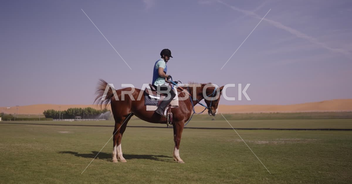 A Saudi Arabian Gulf man riding horses, purebred Arabian horses, hobby